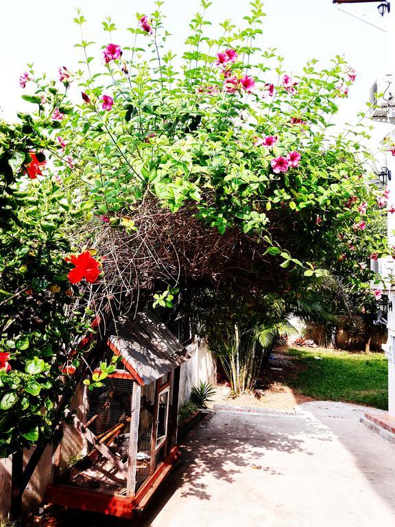 Phonepraseuth Guesthouse Λουάνγκ Πραμπάνγκ Εξωτερικό φωτογραφία